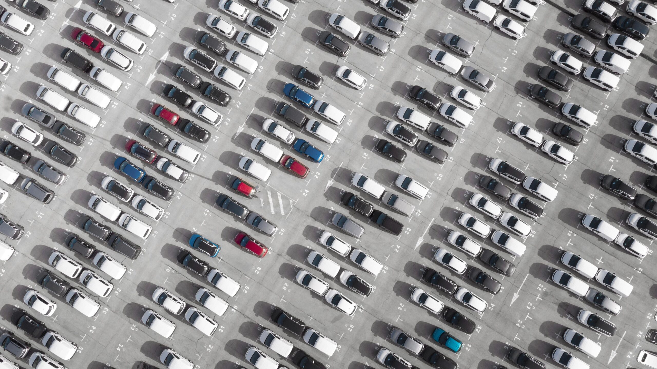 France, electric vehicles surpass other powertrains in corporate fleets