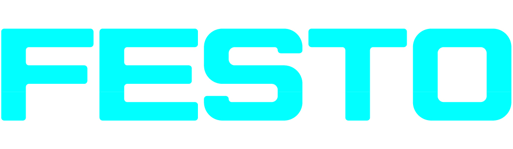 Festo Consulting e Academy