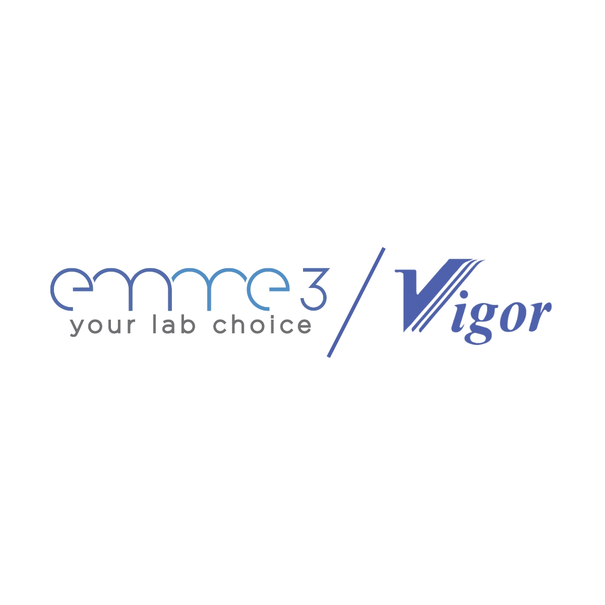 Emme3 - VIGOR