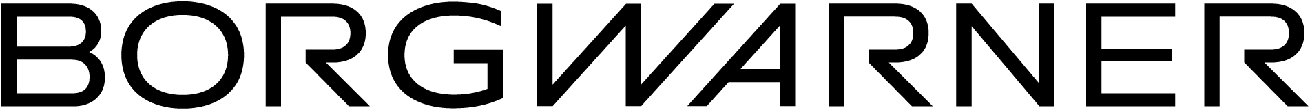 BorgWarner Systems Lugo Srl