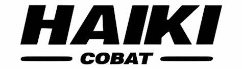 Haiki Cobat SpA
